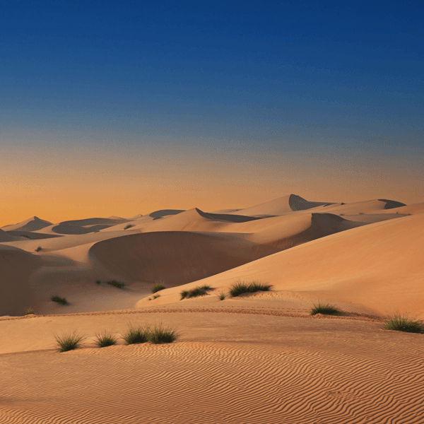 decouverte-desert-wahiba-sands-sharqiya