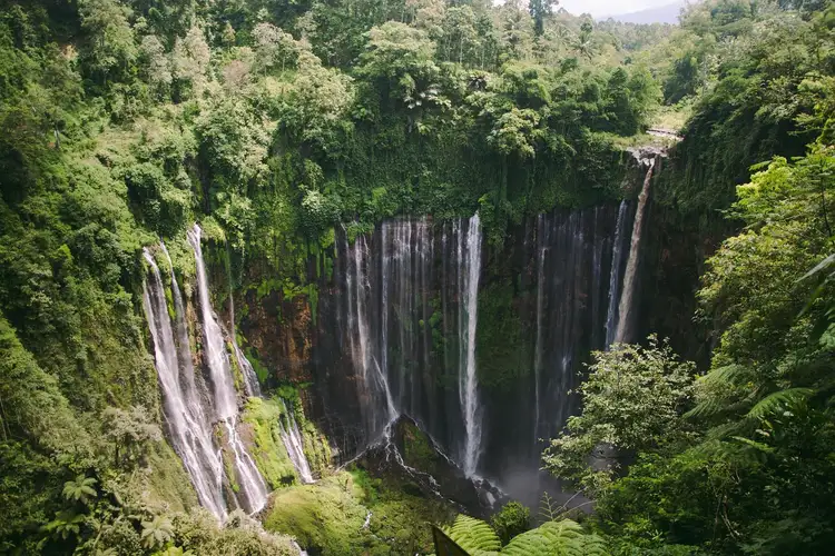 les cascades naturelles de Java