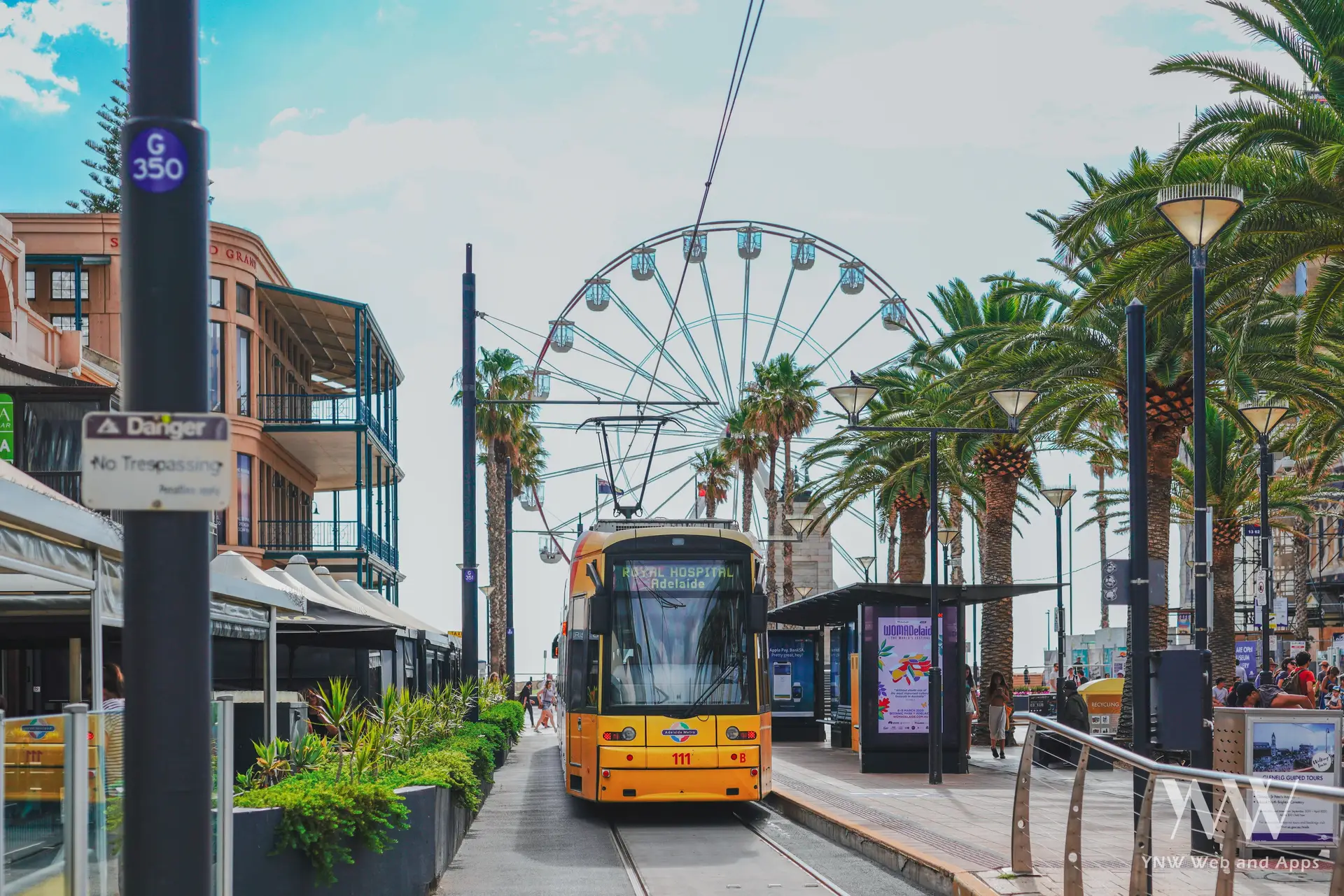 Tramway jaune circulant dans une rue bordée de palmiers vers la grande roue du quartier côtier de Glenelg à Adélaïde.