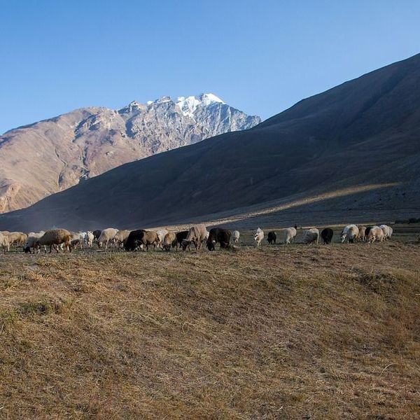 voyage trek au ladakh avec shanti travel 