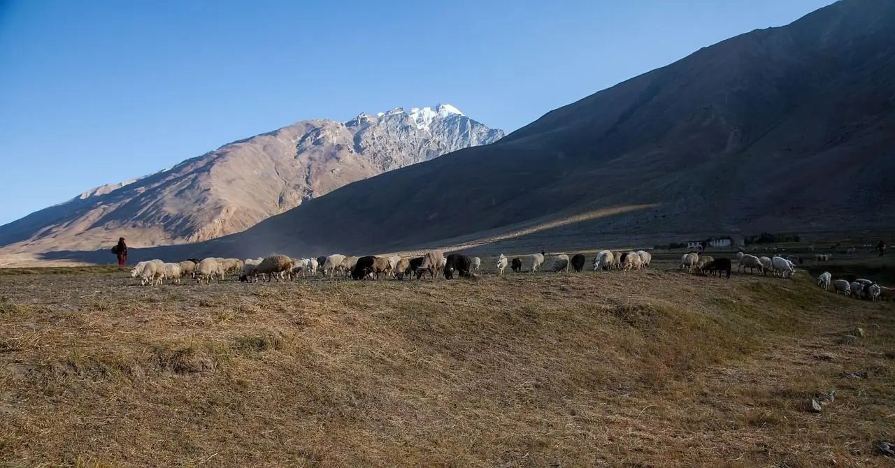 voyage trek au ladakh avec shanti travel 