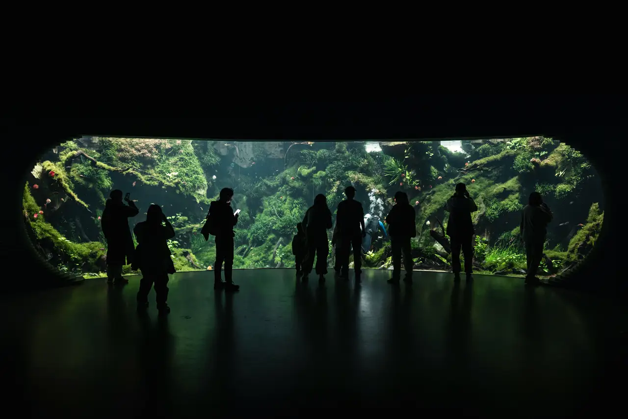 Voyage en Chine - Aquarium Zhuojun Yu Shanghai