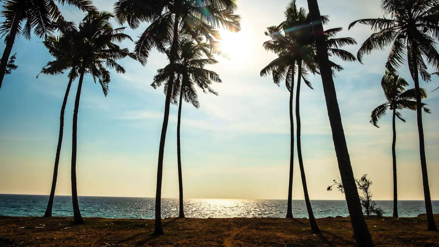 Plage de Varkala au Kerala vue depuis la falaise avec mer d’Arabie, cafés bohèmes et ambiance spirituelle typique du sud de l’Inde