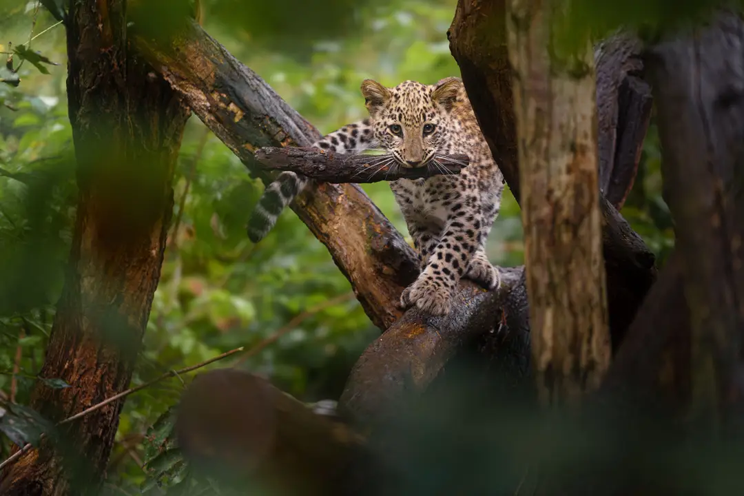 AdobeStock_1157639672.jpeg