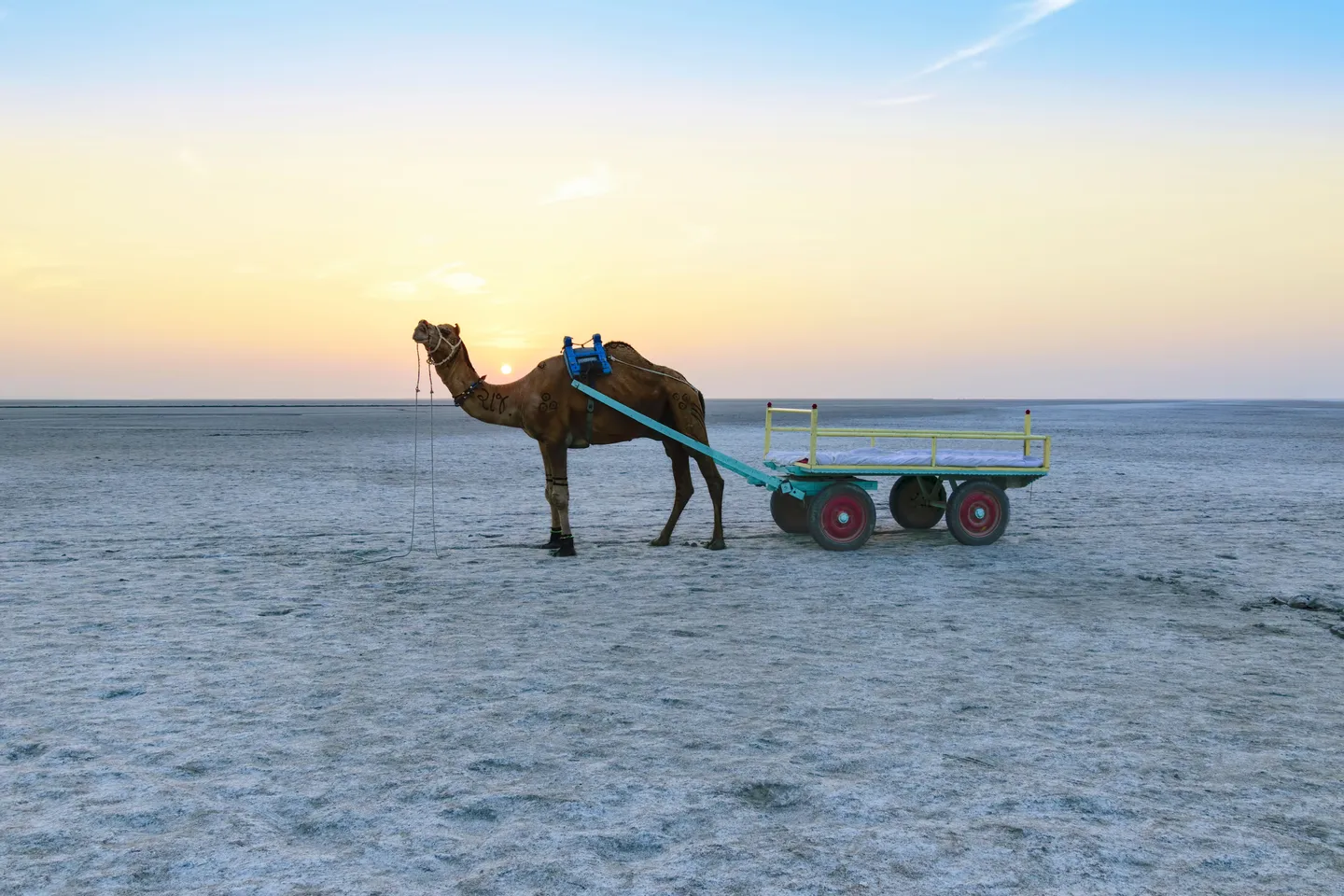 Rann of Kutch