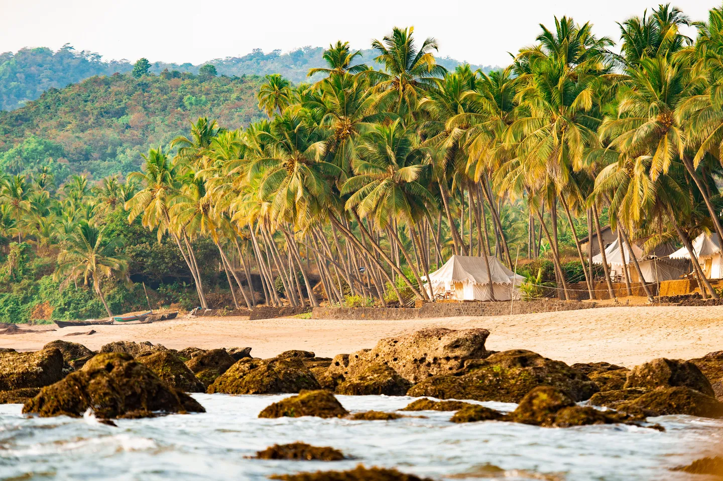 Plage de Mararikulam au Kerala bordée de cocotiers avec barques de pêche traditionnelle et ambiance paisible idéale pour ayurveda et détente