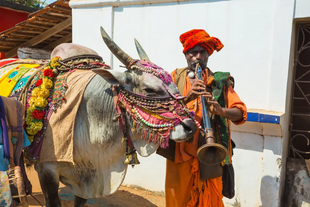 Voyage en Inde - Rencontrez l'Inde rurale et authentique. Découvrez nos conseils sur le budget, le pourboire et les vaccins avant votre départ pour un voyage immersif.