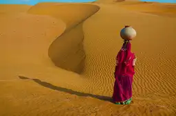 Voyage en Asie - Cinq paysages magnifiques en Inde du Nord : Rann of Kutch, ville bleue de Jodhpur, désert du Thar, parc de Bandhavgarh et mangroves des Sundarbans