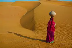 Voyage en Asie - Cinq paysages magnifiques en Inde du Nord : Rann of Kutch, ville bleue de Jodhpur, désert du Thar, parc de Bandhavgarh et mangroves des Sundarbans