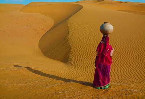 Voyage en Asie - Cinq paysages magnifiques en Inde du Nord : Rann of Kutch, ville bleue de Jodhpur, désert du Thar, parc de Bandhavgarh et mangroves des Sundarbans