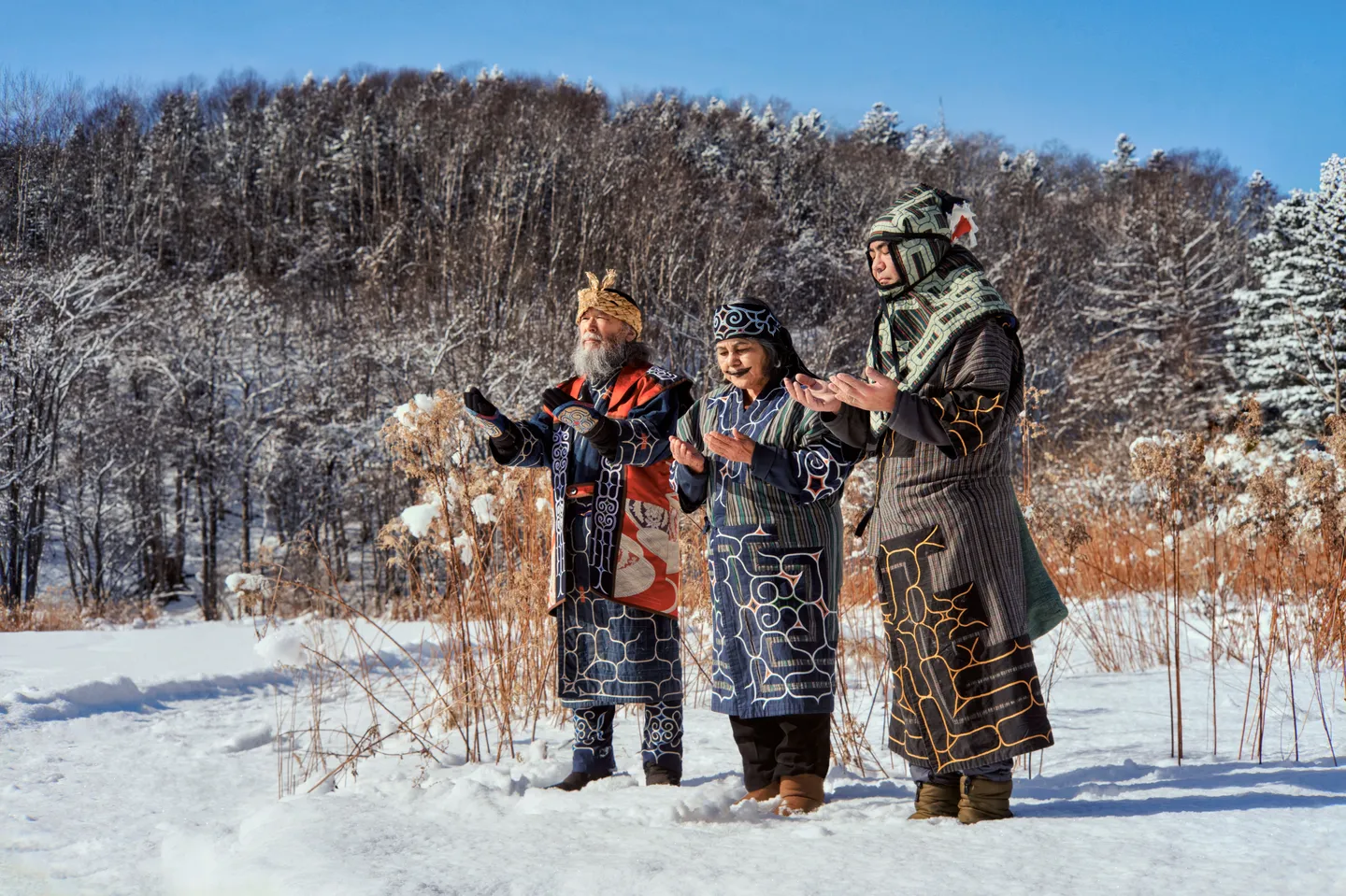 Faune au Japon — Portrait de cerfs sacrés Sika se reposant dans les rues historiques près du parc de Nara.