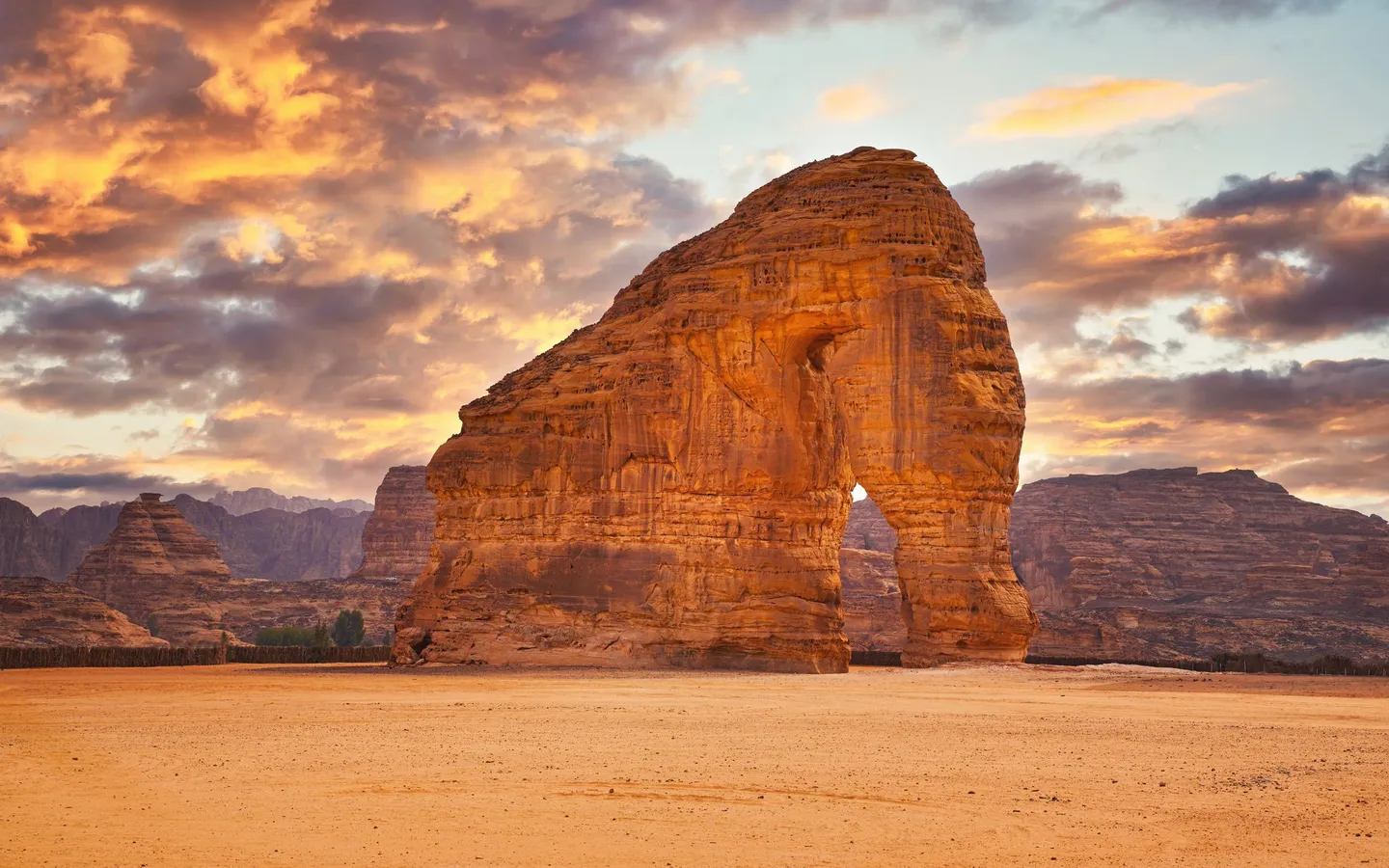 Al Ula rocher de l'éléphant dans le désert, coucher de soleil en Arabie Saoudite