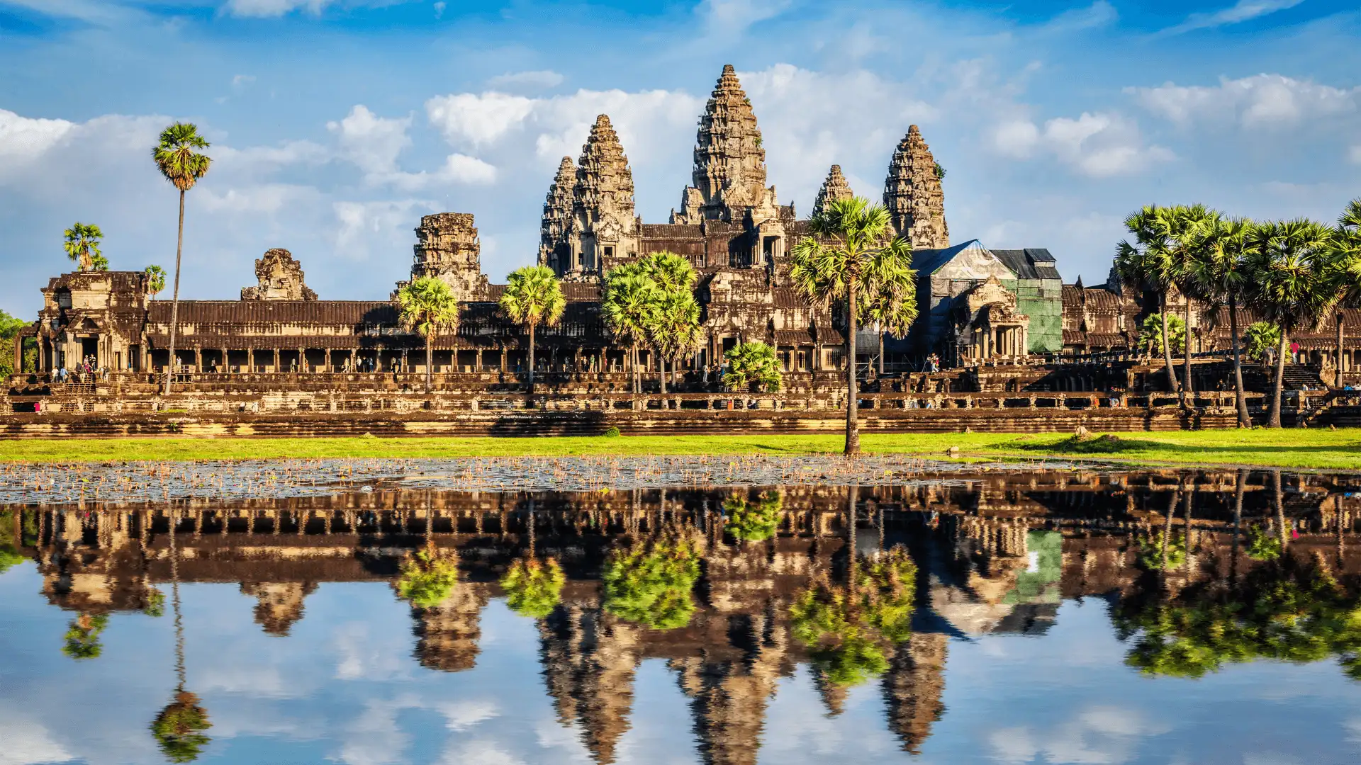 plage de sable blanc desertique bordee de palmiers sauvages et mer turquoise translucide sous un ciel bleu azur au cambodge