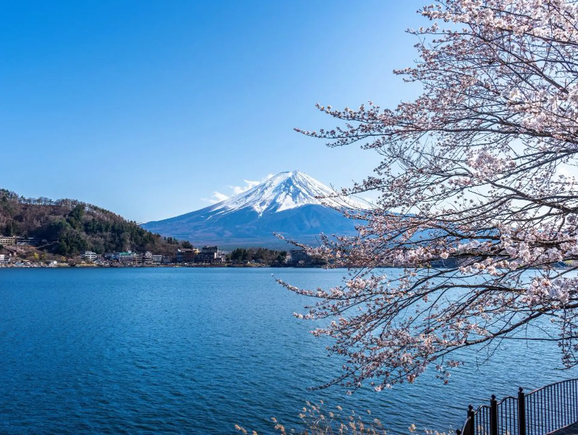 10 bonnes raisons de partir au Japon