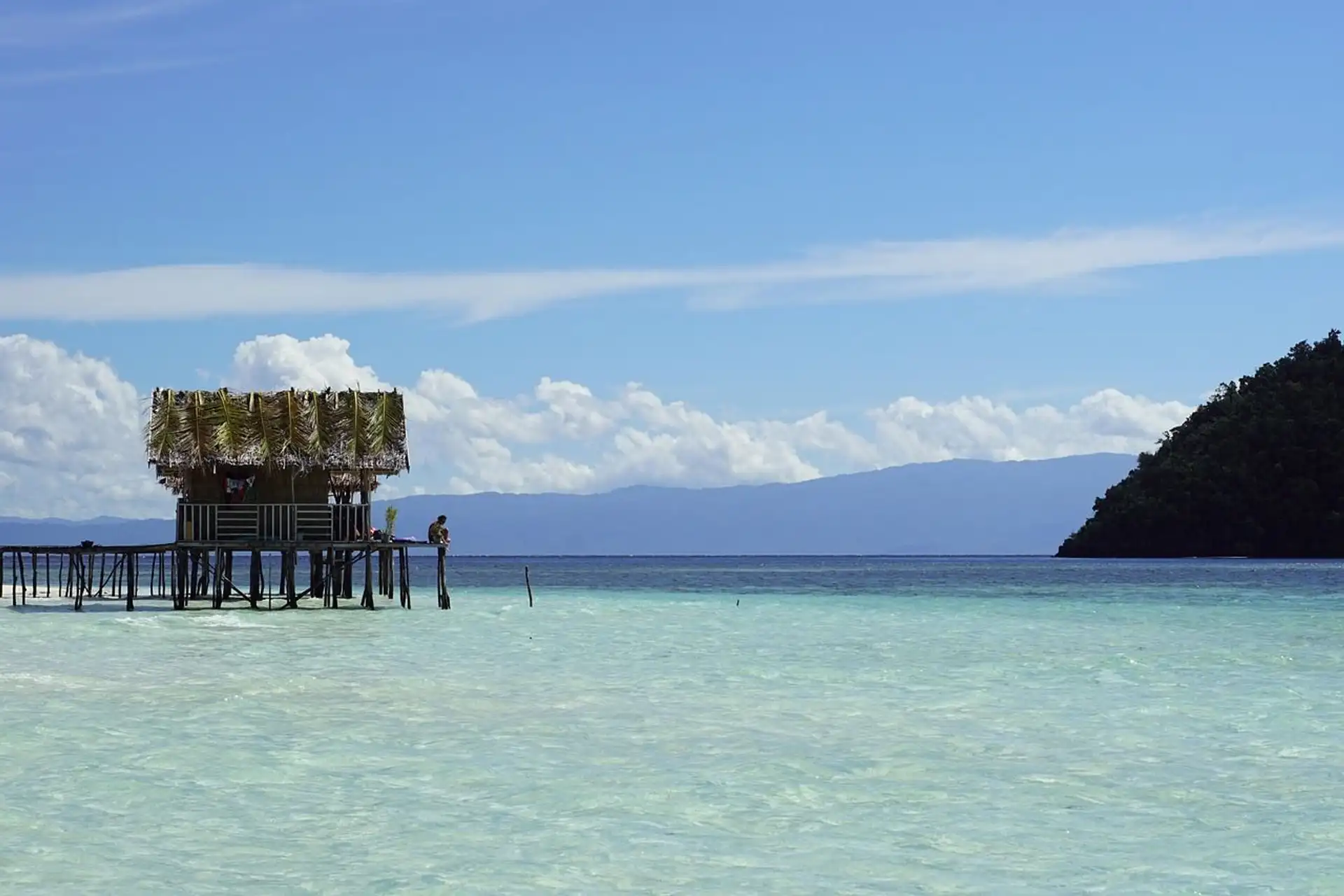Plage et eaux turquoises de Raja Ampat en indonésiee