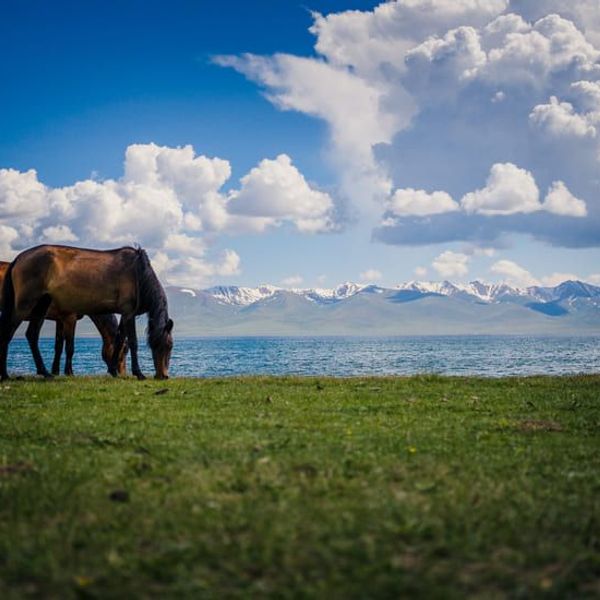 voyage-coeur-asie-centrale-J21