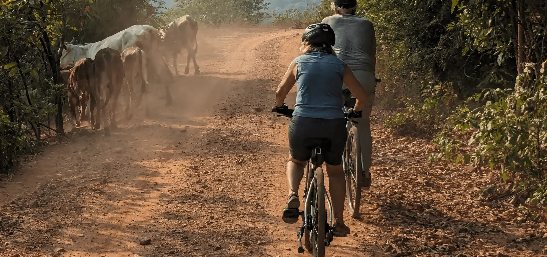 Voyage en Thaïlande — balade à vélo à Bang Krachao près de Bangkok dans une oasis verte avec chemins surélevés et végétation tropicale