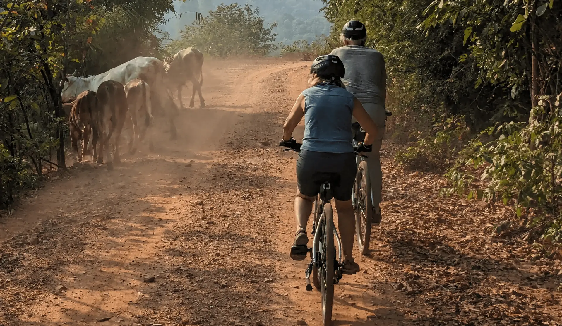 Voyage en Thaïlande — balade à vélo à Bang Krachao près de Bangkok dans une oasis verte avec chemins surélevés et végétation tropicale