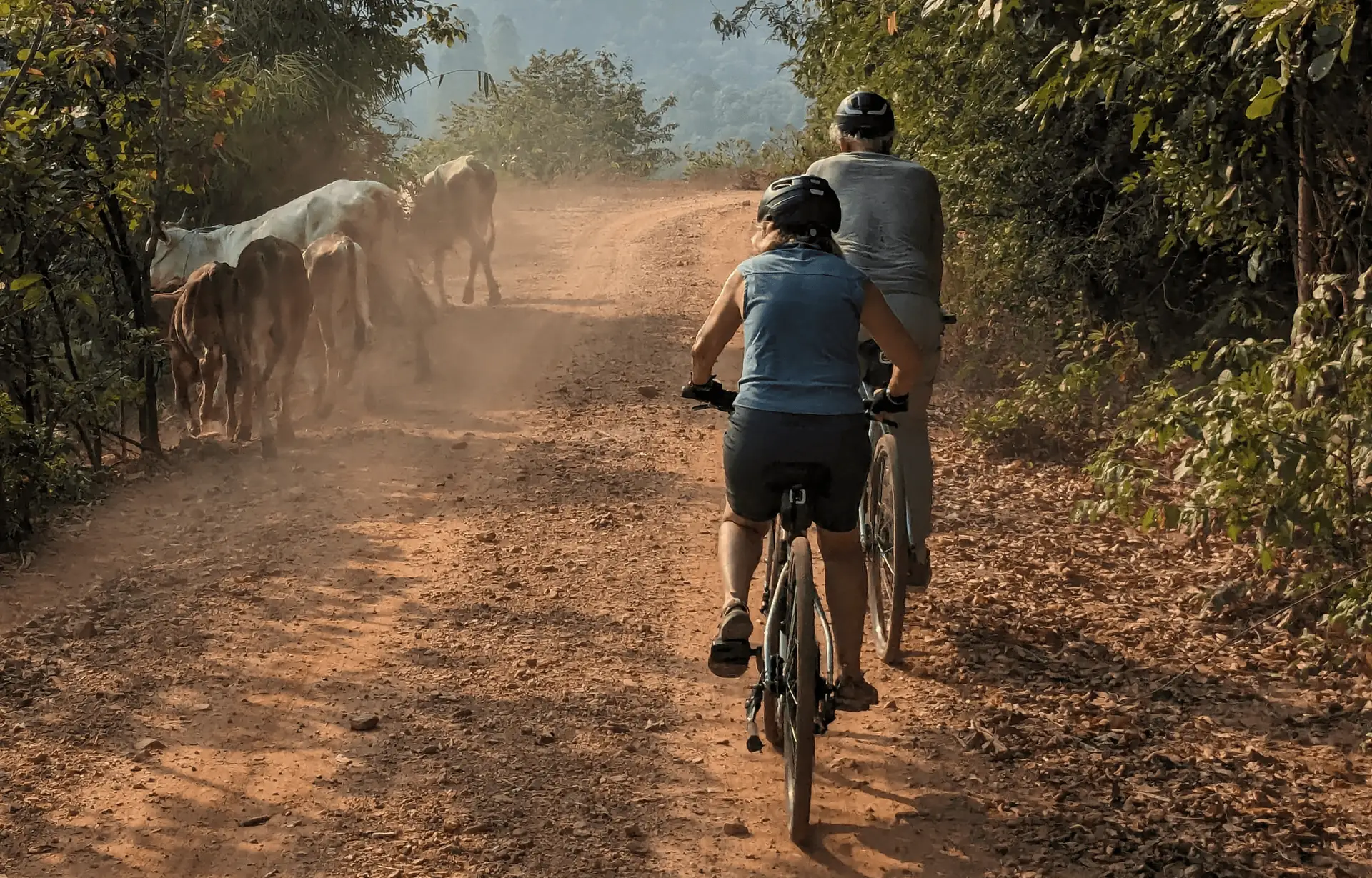 Voyage en Thaïlande — balade à vélo à Bang Krachao près de Bangkok dans une oasis verte avec chemins surélevés et végétation tropicale