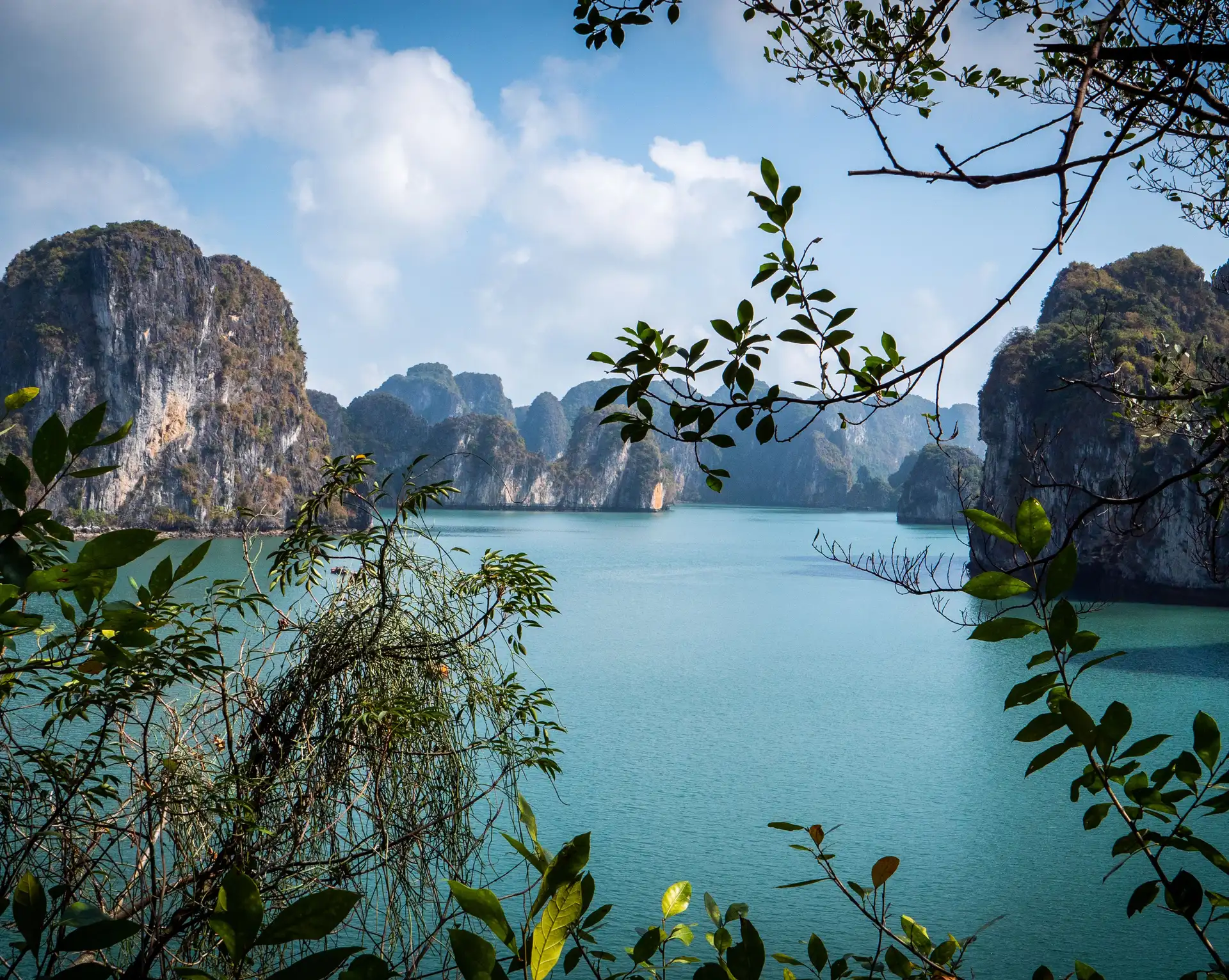 Vue encadrée par la végétation sur les îlots calcaires et les eaux turquoises de la baie d'Halong au Vietnam.
