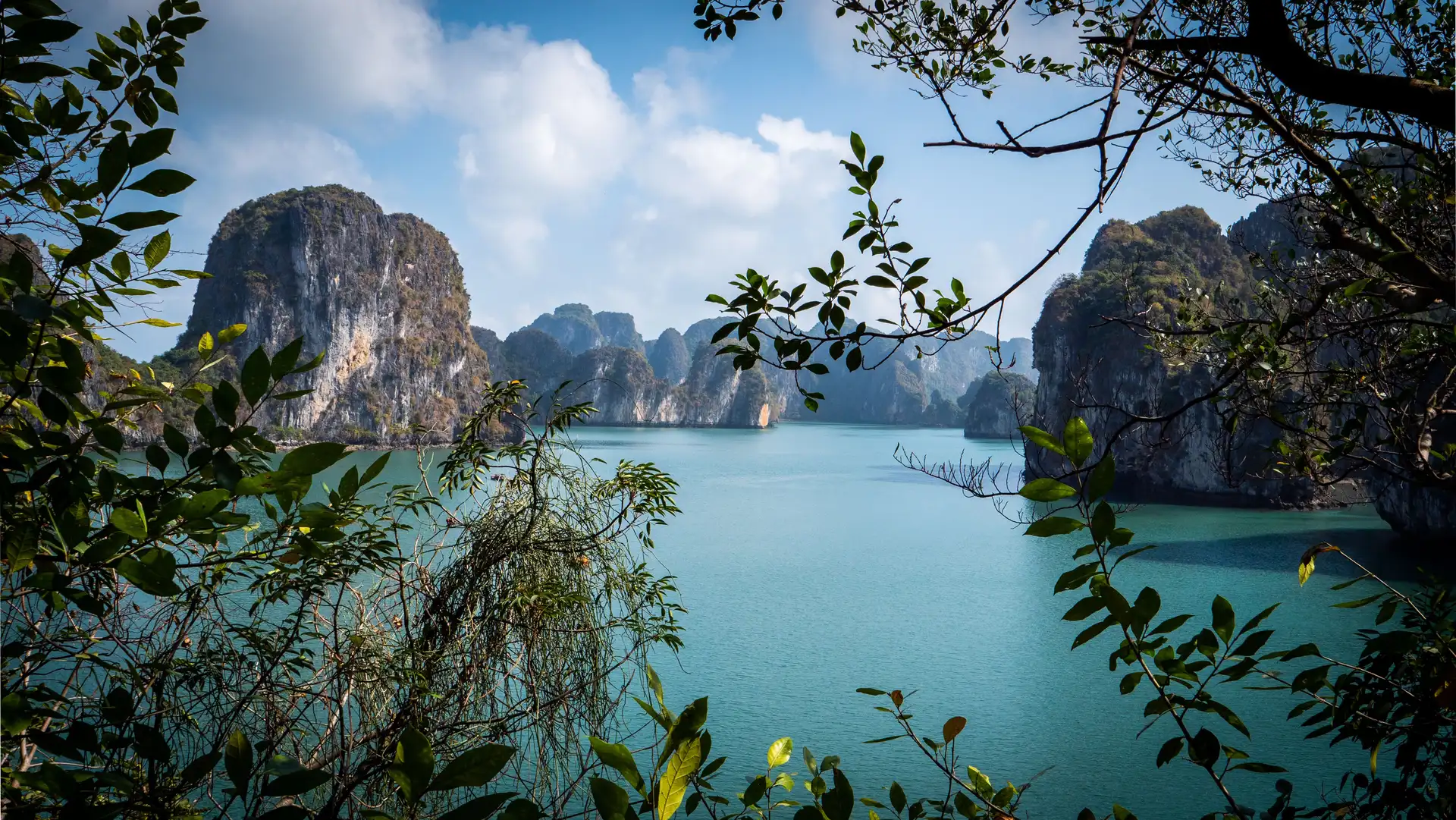 Vue encadrée par la végétation sur les îlots calcaires et les eaux turquoises de la baie d'Halong au Vietnam.