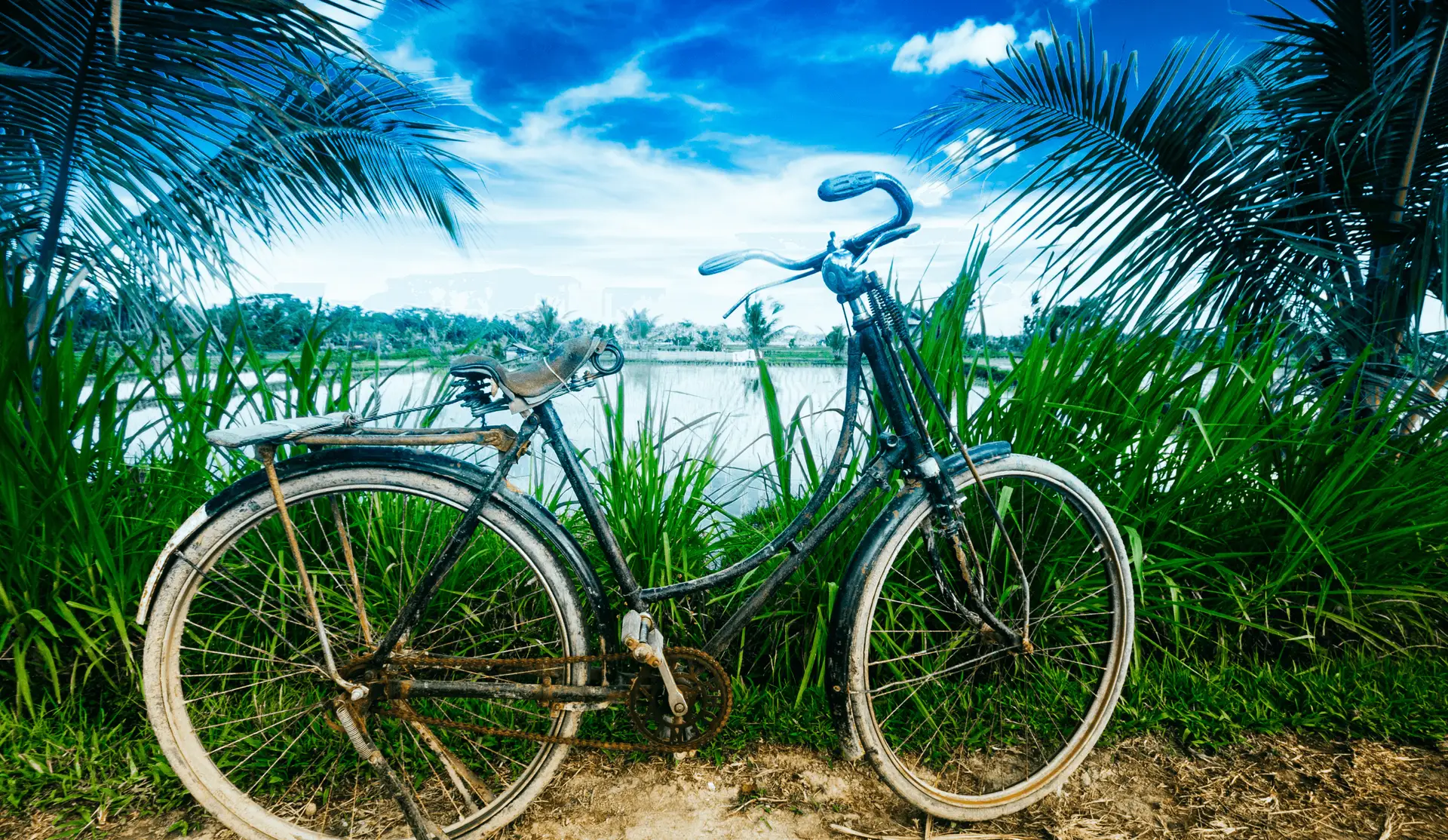 Voyage à Bali — balade à vélo dans les rizières de Tegallalang près d’Ubud avec paysages en terrasses et villages locaux