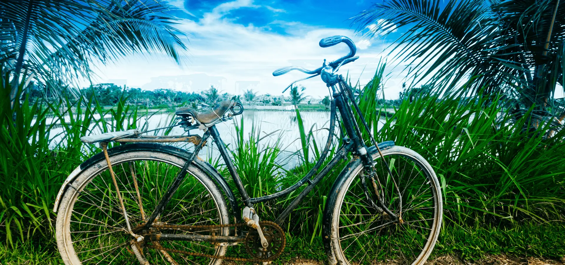 Voyage à Bali — balade à vélo dans les rizières de Tegallalang près d’Ubud avec paysages en terrasses et villages locaux