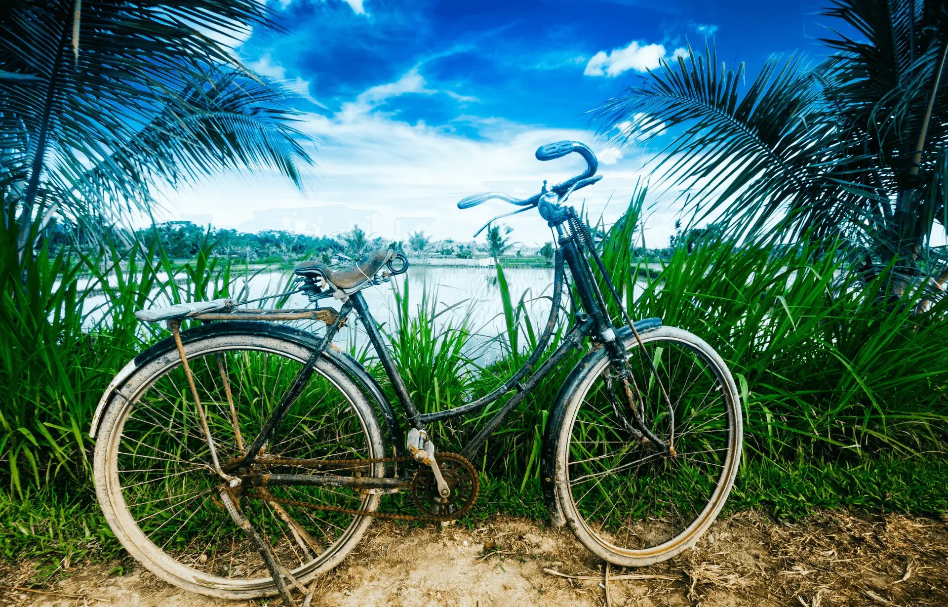 Voyage à Bali — balade à vélo dans les rizières de Tegallalang près d’Ubud avec paysages en terrasses et villages locaux