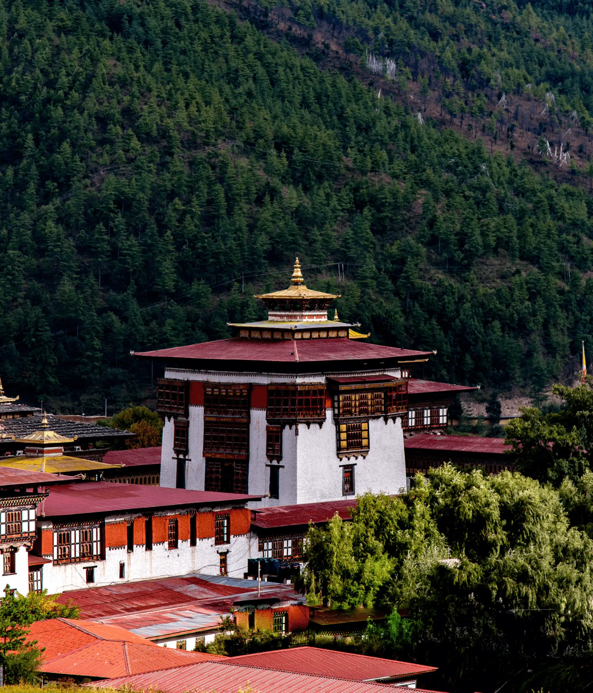 Voyage au Bhoutan : Thimphu, royaume himalayen du Bhoutan
