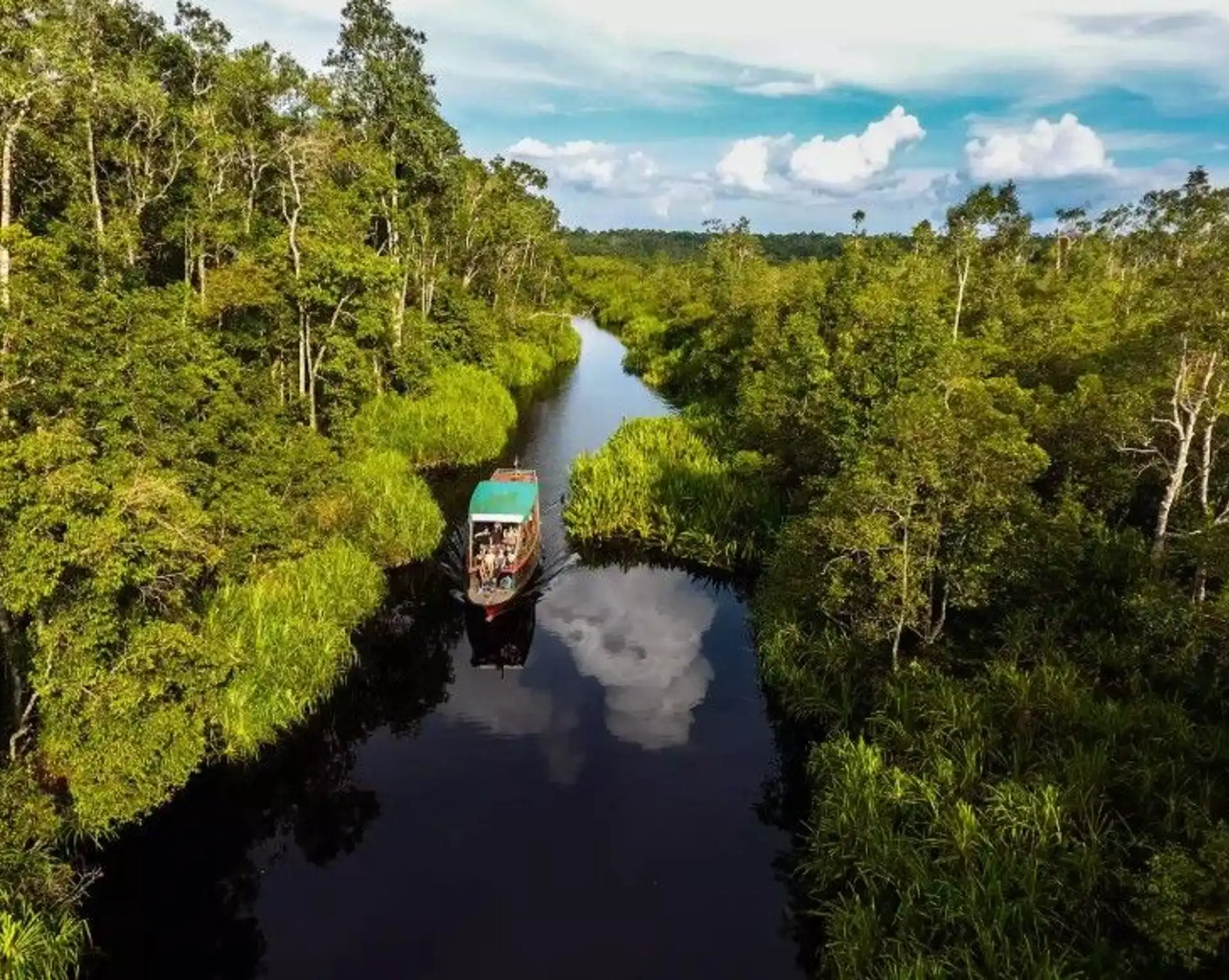 vue aerienne d un bateau naviguant sur une riviere au milieu d une jungle dense et verdoyante a borneo