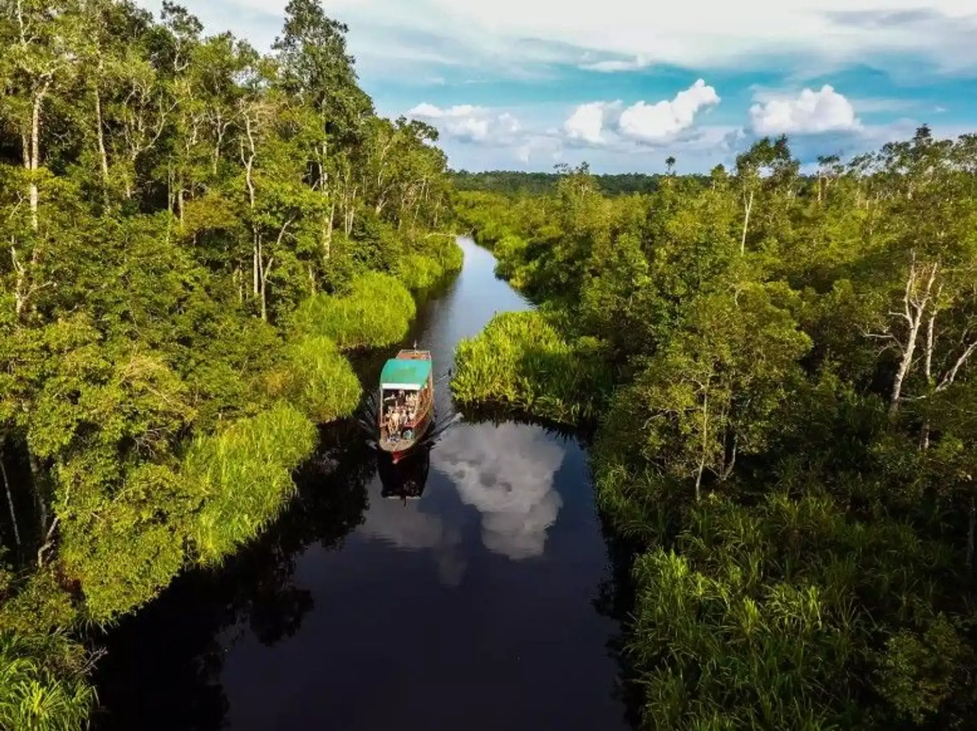 vue aerienne d un bateau naviguant sur une riviere au milieu d une jungle dense et verdoyante a borneo