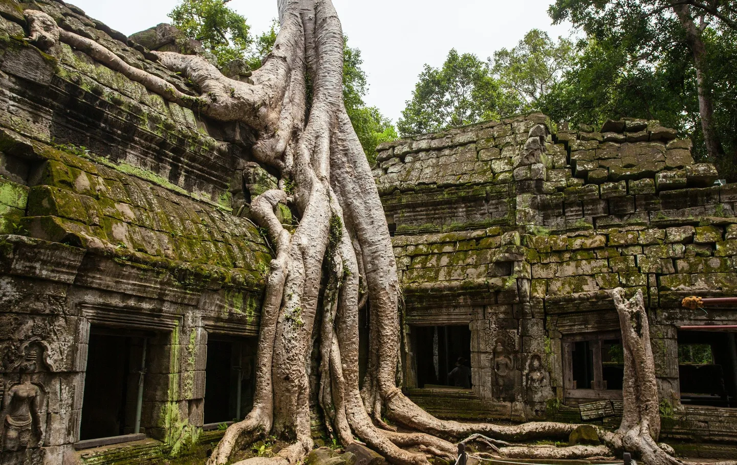 Cambodia Angkor Ta Prohm temple -unsplash.jpg