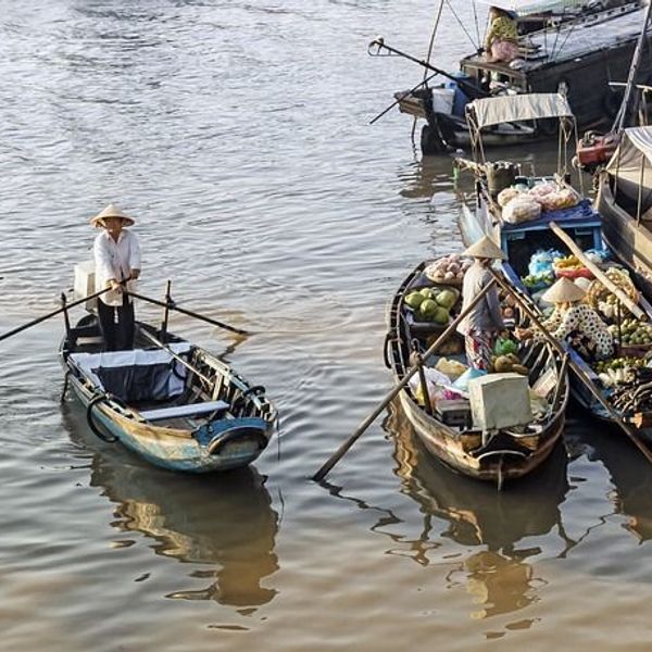 Cai Rang Schwimmender Markt vietnam