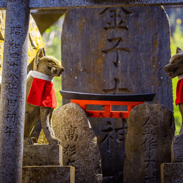 visite-kyoto-capitale-historique
