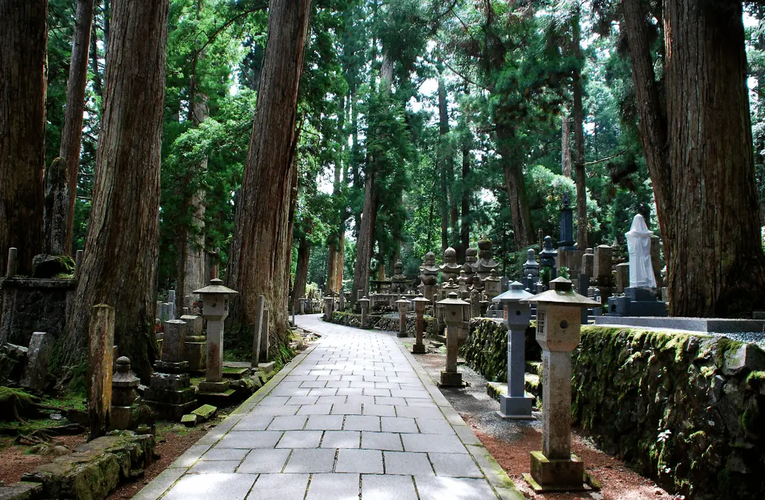 foret-cedre-japon-koyasan-unesco