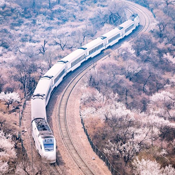 Voyage en Chine - Train et sakura près de Pékin