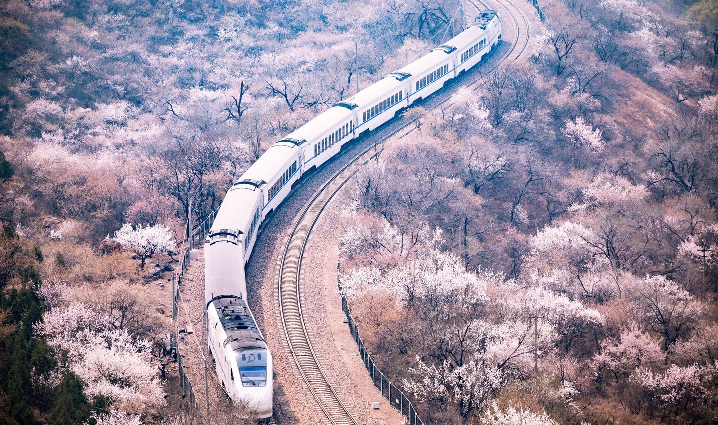 Voyage en Chine - Train et sakura près de Pékin
