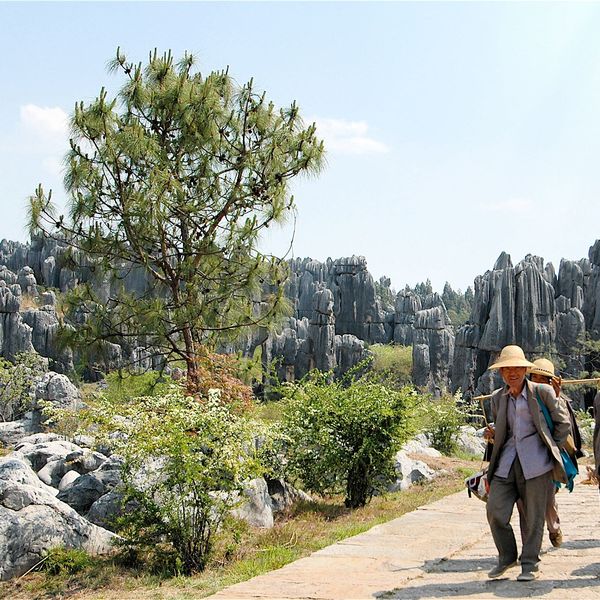 Voyage en Chine - ville de Kunming 