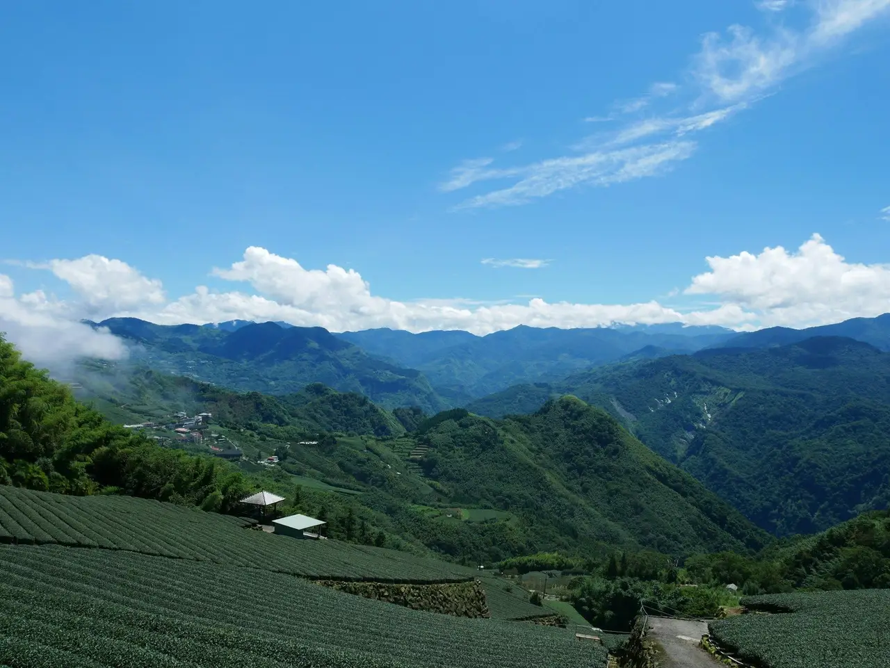 Voyage en Chine : Montagne Lancang Pu'er Jingmai