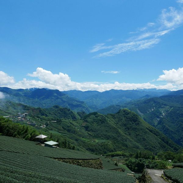 Voyage en Chine : Montagne Lancang Pu'er Jingmai
