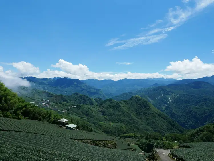 Voyage en Chine : Montagne Lancang Pu'er Jingmai