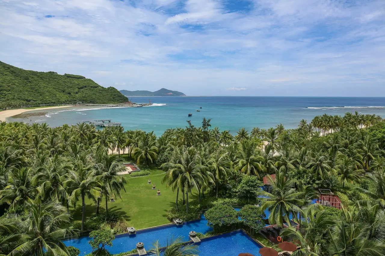 Voyage en Chine - Palmiers de Sanya Pavel Roev