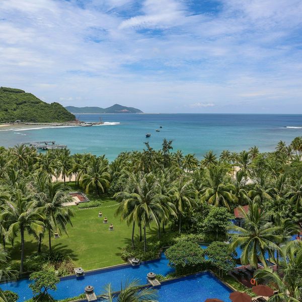 Voyage en Chine - Palmiers de Sanya Pavel Roev