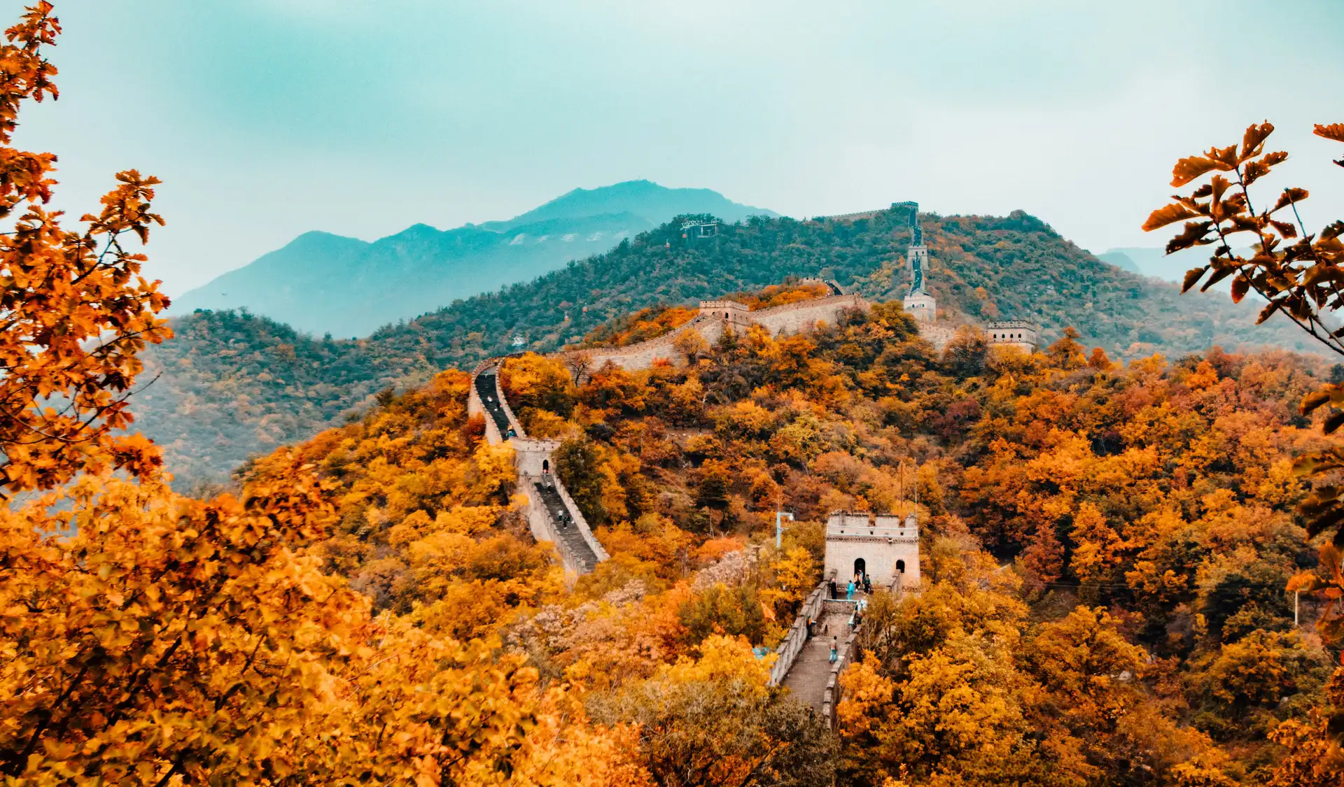 Voyage en Chine – La Grande Muraille de Chine serpentant à travers les montagnes aux couleurs de l'automne.