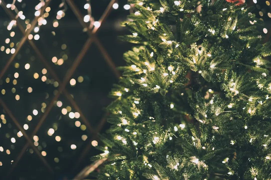 Christmas sapin noel tree.jpg