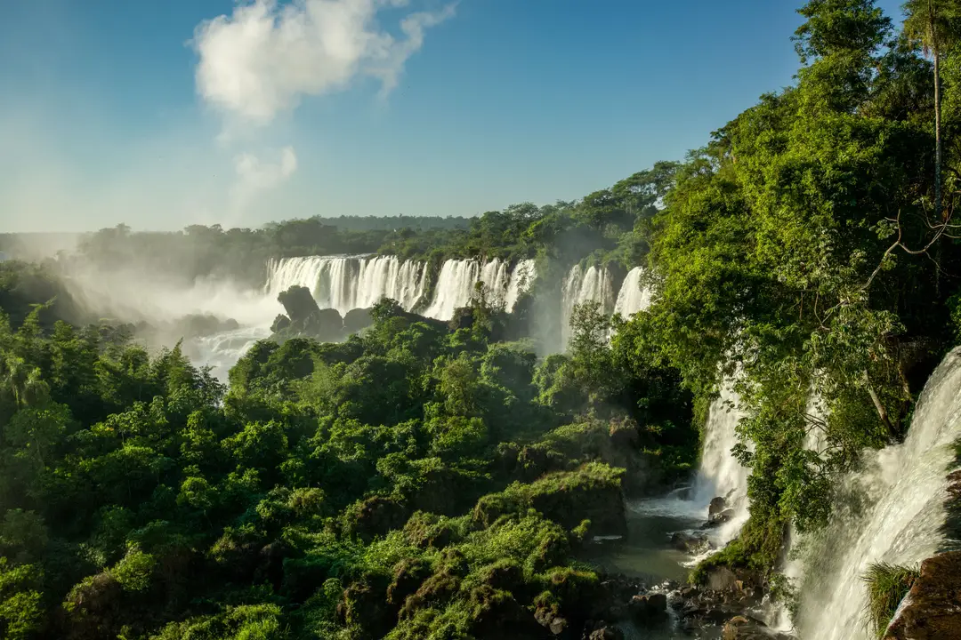 Chutes d'Iguazú dévalant à travers la luxuriante forêt tropicale de Misiones, Argentine