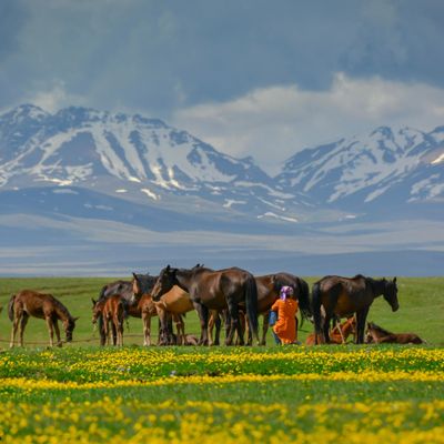 Kirghizistan-montagnes