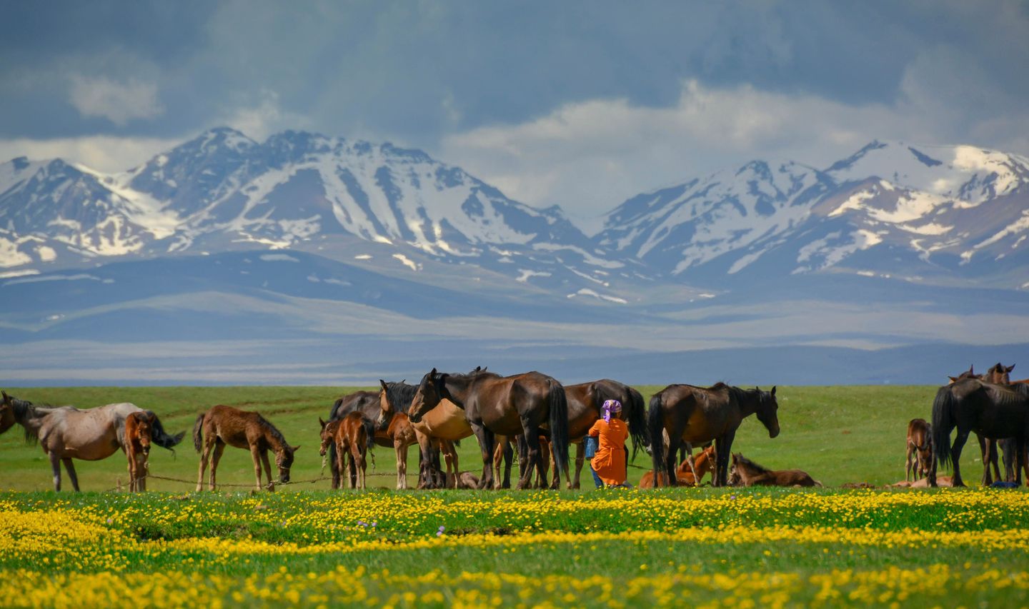 Kirghizistan-montagnes