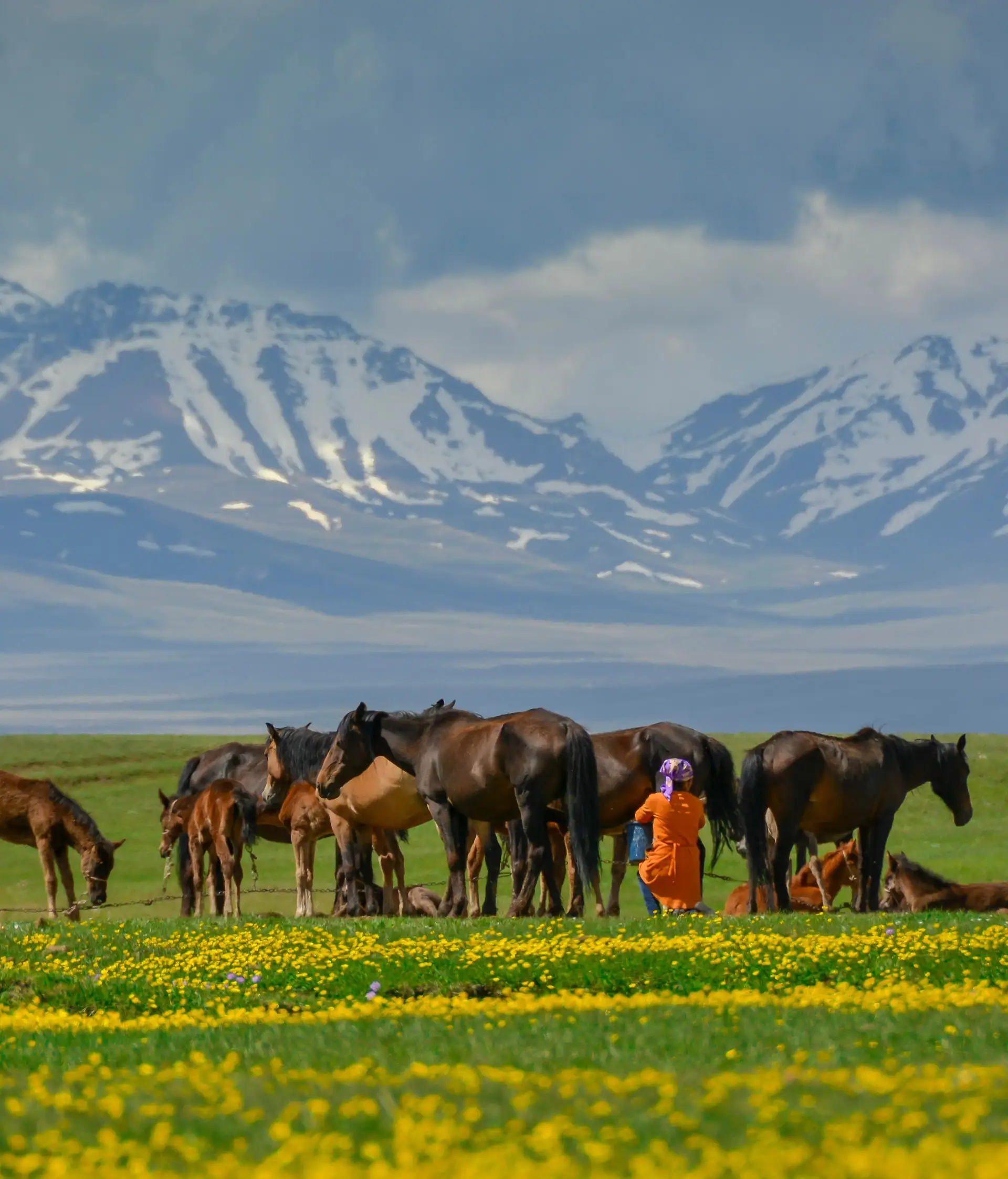 Kirghizistan-montagnes