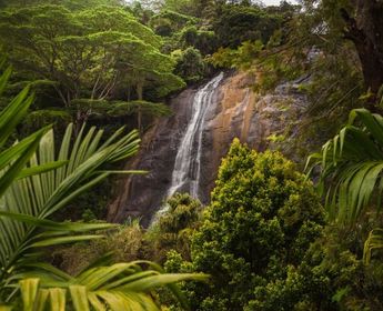 voyage-sri-lanka-rencontres-randonnées-nature-j4